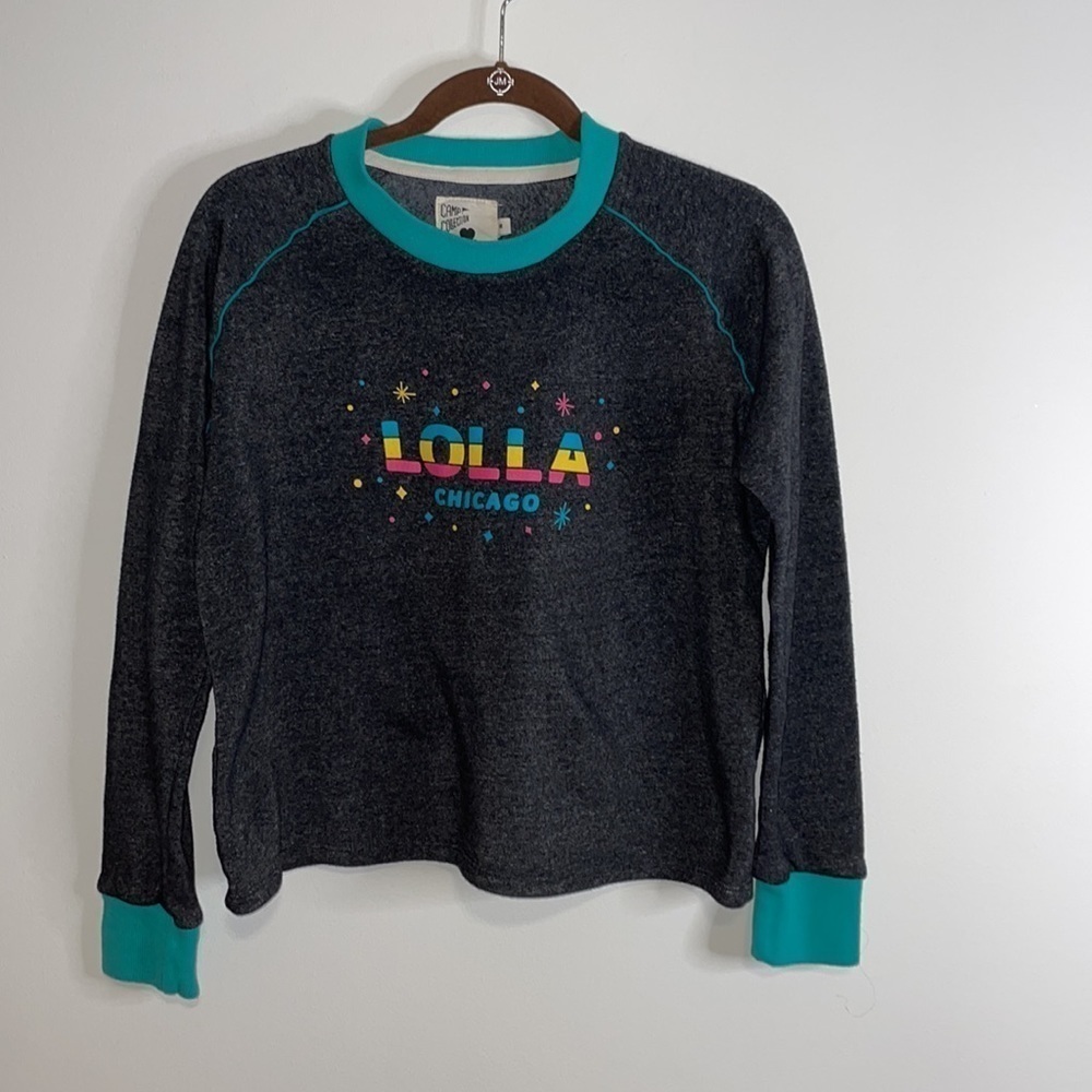 Camp Collection Lollapalooza Sweatshirt Medium Dark Heather Gray Crewneck Boxy